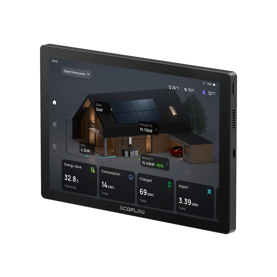 ecoflow powerinsight